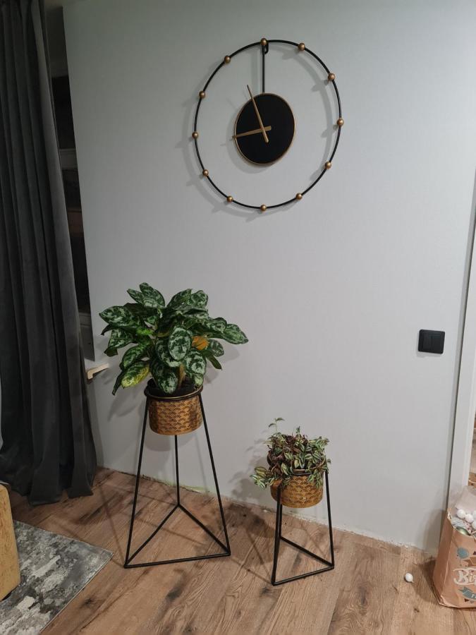 Old Town Apartment リガ エクステリア 写真